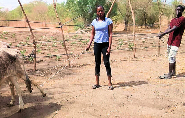 2024 04. 05. Rinder (4)