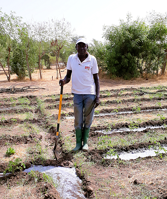 Bewässerung eines Feldes in Sandiara