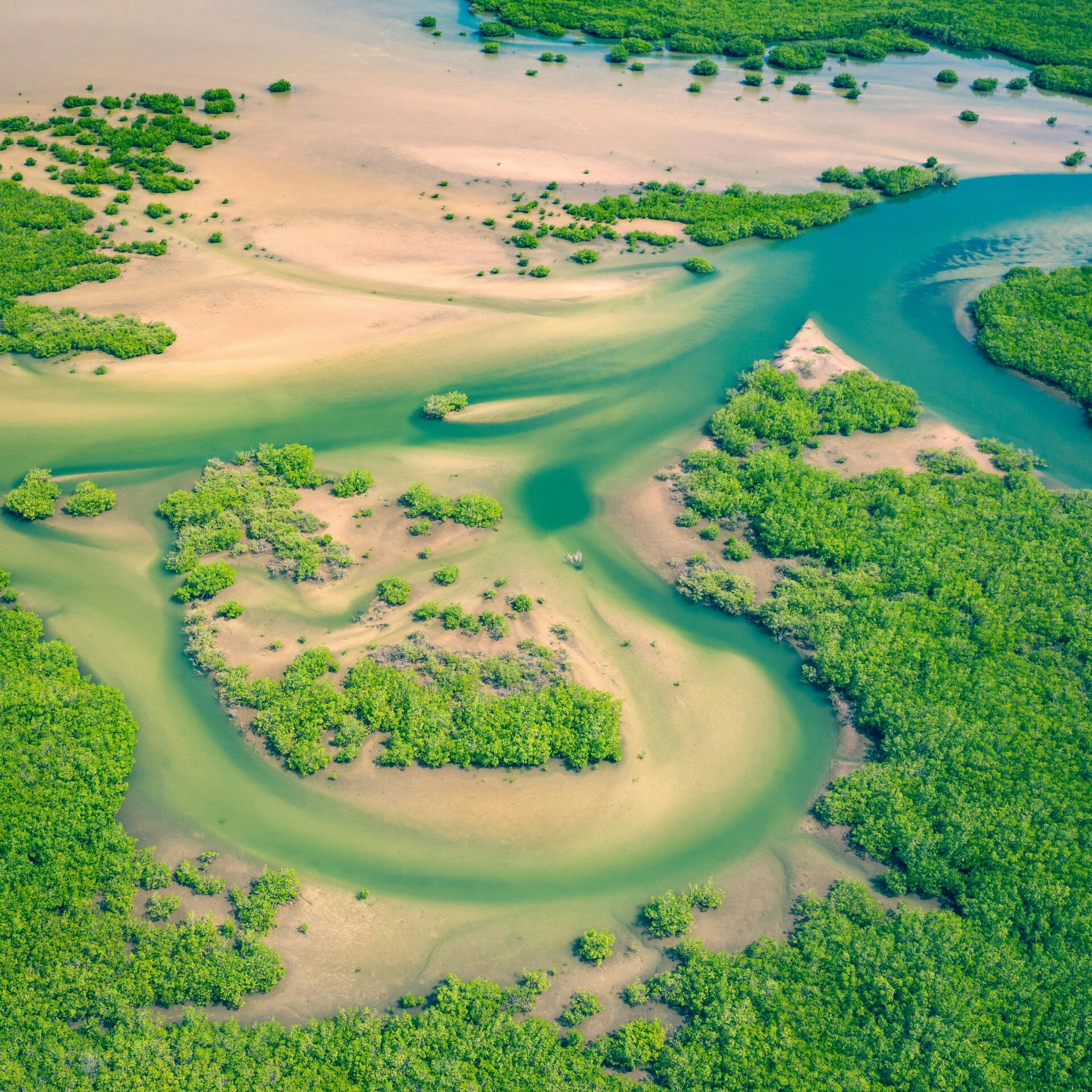 curvy river flowing through sandy terrain with lush forest