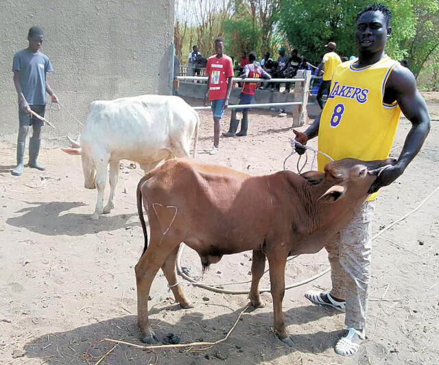 2024 04. 05. Rinder (9)